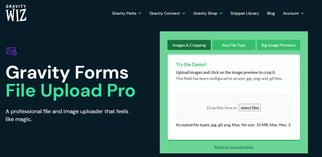 Gravity Forms File Upload Pro